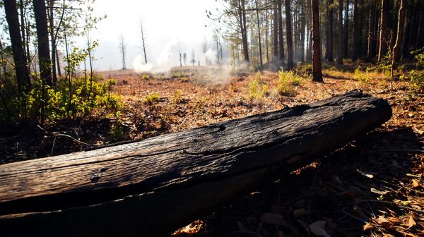 Guide essentiel pour se protéger des incendies en Mayenne